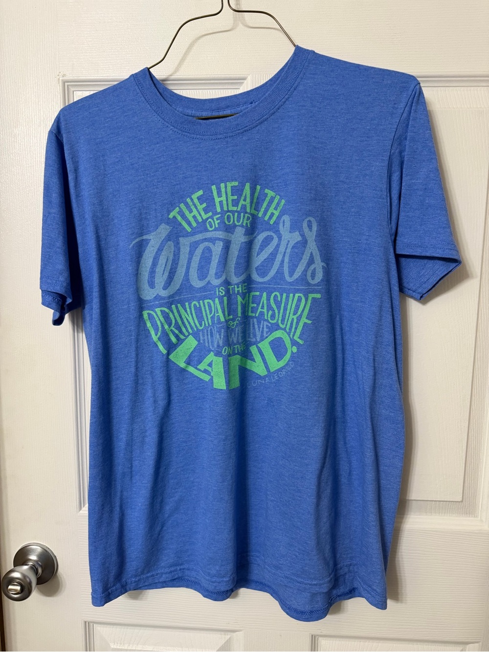 Gildan Blue Short-Sleeve Tee with Green & Light-Blue Water Graphic